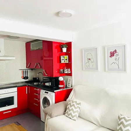 Centrico Y Acogedor En Apartment *